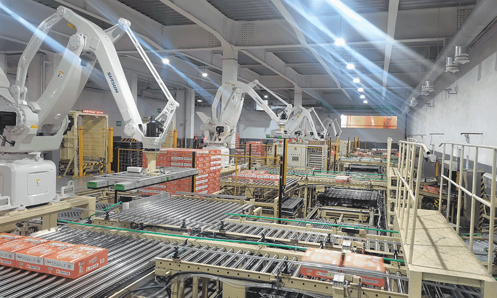 Automated Palletizing System for Finished Cartons